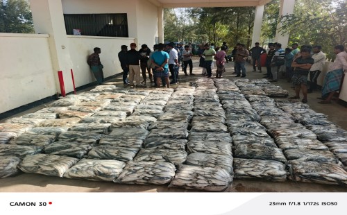 সীতাকুণ্ডে ফ্রিজিং কাভার্ডভ্যানে আড়াই টন ঝাটকা ইলিশ পাচার চেষ্টায় জব্দ, এতিমখানায় দান