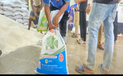 পদুয়ায় ভিজিএফ চাল বিতরণে অনিয়মের অভিযোগ